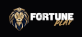 FortunePlay